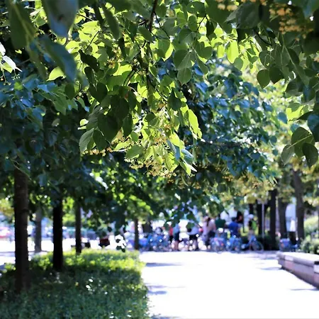 Cozy And Great Location By Cooee شقة *